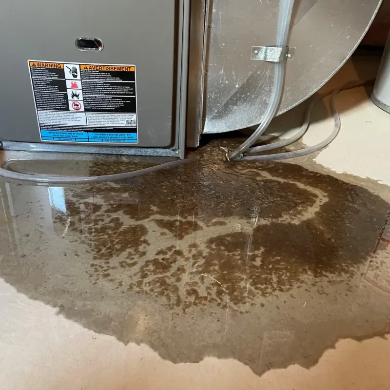 Appliance Leak Cleanup in Grandview, OH