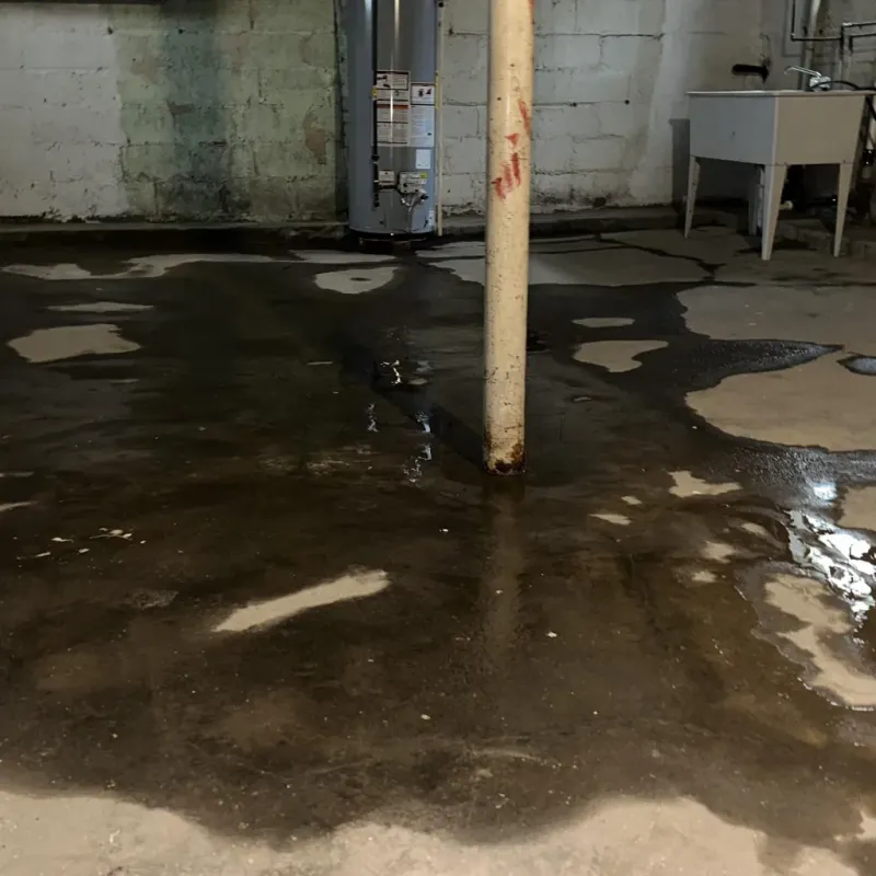 Emergency Water Extraction And Removal in Grandview, OH